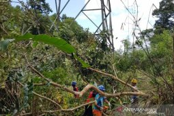 PLN Kalbar amankan pasokan listrik melalui perawatan rutin jaringan