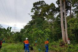 PLN lakukan perawatan jaringan untuk keamankan pasokan listrik