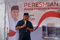 Pemprov Bangka Belitung bangun kebun dan pabrik nanas di Desa Jeriji