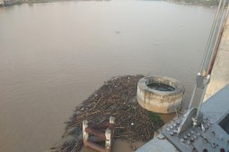 Kayu teronggok di tonggak Jembatan Gentala Arasy