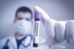 Menlu Rusia-China  bahas kerja sama perangi virus corona baru