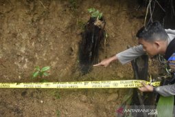 Tim gabungan tutup 23 lubang tambang emas ilegal