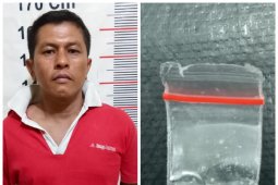 Polisi Gebang Langkat tangkap "Bob" dalam Operasi Antik Toba