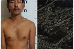 Menginap di rumah istri kedua, pemiliki 500 gram ganja ditangkap polisi Bahorok Langkat