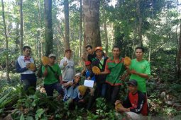 Pemkab Landak tetapkan pohon induk durian lokal di Desa Pawis