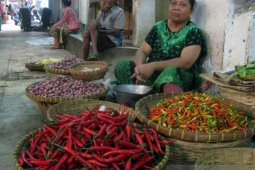 Mahalnya cabai jadi penyumbang tertinggi inflasi di Jember