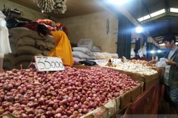 Wow harga bawang putih di Pontianak capai Rp60.000 per kilogram