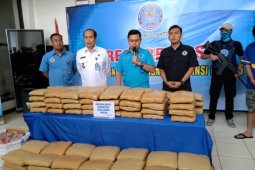 Penyelundup 100 kilogram ganja, BNNP Banten amankan tersangka