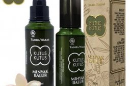 Ekspansi pasar Eropa, Kutus Kutus beli kastil di Amsterdam