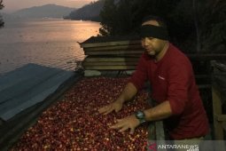Angka ekspor Aceh alami peningkatan 14,64 persen pada Desember