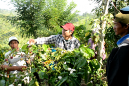 Menanam Harapan, Menyulam Masa Depan: Dari Tikar ke Peta Digital di Register 31