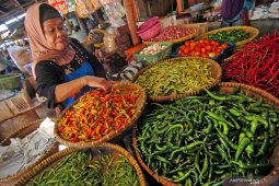 Harga cabai di Garut turun sejak terjadi wabah corona