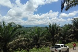 Astra Agro Lestari optimalkan keunggulan teknologi digital