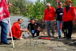 Kader PDI-P Aceh tanam mangrove jelang Rakerda