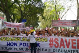 Ribuan massa 'Save Babi' demo di DPRD Sumut