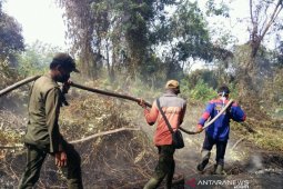 Riau siaga darurat Karhutla hingga Oktober 2020