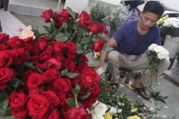 Permintaan bunga potong menurun