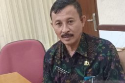 Bali mulai gencar bidik kunjungan wisman di luar China