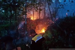 Kebakaran lahan dan hutan kembali terjadi di pulau ambon