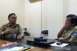 Harga bawang putih di Bangka Belitung turun jadi Rp43.000/kilogram