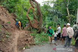 Jalan utama Pasir Kuda-Cianjur terputus akibat longsoran tanah