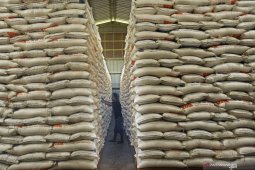 Bulog rice stock in S Kalimantan enough for five months