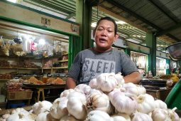 Harga bawang putih turun 25 persen di Pontianak