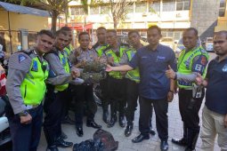 Polisi amankan empat kilogram ganja saat razia lalu lintas di depan gedung DPR Aceh