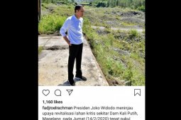 Presiden tinjau upaya revitalisasi lahan kritis di Magelang