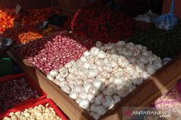 Harga bawang merah di pasar tradisional Ambon naik