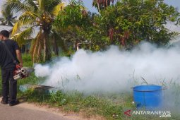 13 Desa di Kabupaten Belitung jadi prioritas penanggulangan DBD