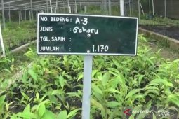 BPDASHL Baturusa Cerucuk bantu bangun rumah pembibitan gaharu