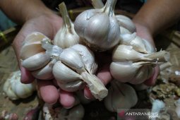 Inflation in S Kalimantan stands at 0,08 percent