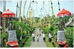 PLN Bali minta warga tak pasang penjor dekat jaringan listrik