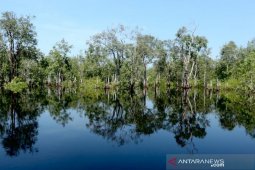 Tim aju kunjungan Raja Belanda alami kecelakaan di Sungai Sebangau