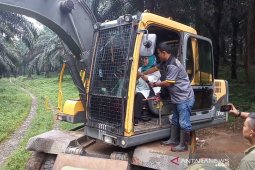 Relokasi korban bencana di Bogor perlu merobohkan 501 pohon