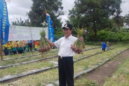 Bupati Bangka Tengah minta petani menguasai teknologi pertanian