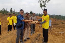 UNS budidayakan jahe merah untuk cegah virus corona