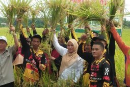Bupati Irna minta petani terus tingkatkan produksi padi