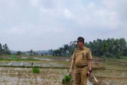 Mukomuko siapkan data penunjang pengalihan pengelolaan Irigasi