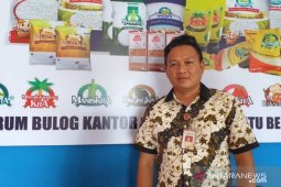 Stok Bawang putih di gudang Bulog Belitung kosong