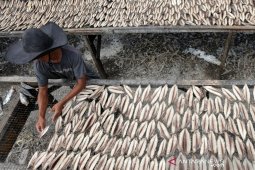 Pengolahan ikan kayu