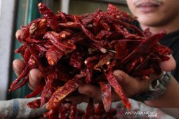 Harga cabai merah kering naik drastis