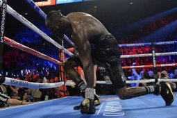 Wilder tantang Fury untuk tarung  ulang
