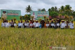 Kalbar targetkan 1,58 juta GKG pada tahun 2020