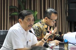 Minggu ini karantina wilayah akan diputuskan pemerintah, kata Luhut