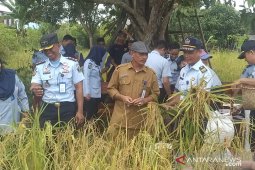 Rutan Putussibau panen padi tanaman para Napi