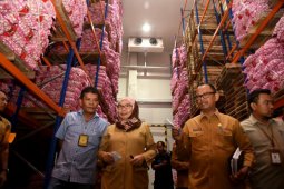 Pemprov Sumut jamin ketersediaan  bawang putih