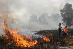 Tersangka karhutla Riau bertambah jadi 21 orang