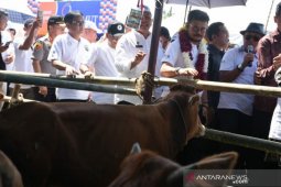 Sumut targetkan KUR sektor peternakan Rp183,7 miliar pada 2020
